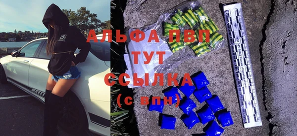 гидра Балахна