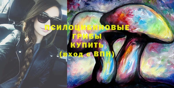 гидра Балахна