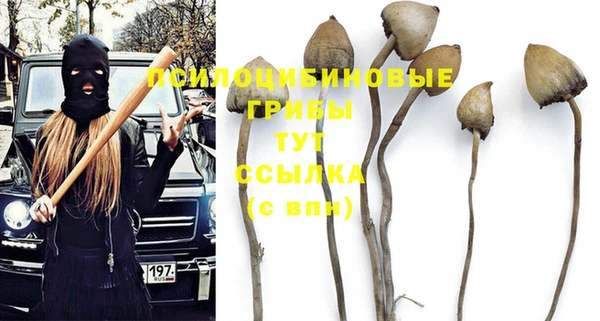 гидра Балахна