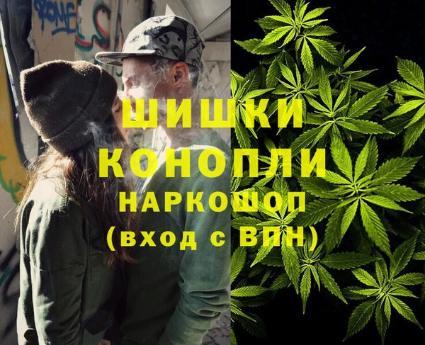 гидра Балахна
