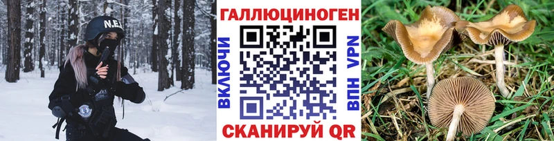 где можно купить наркотик omg как войти Псилоцибиновые грибы MAGIC MUSHROOMS Ессентуки